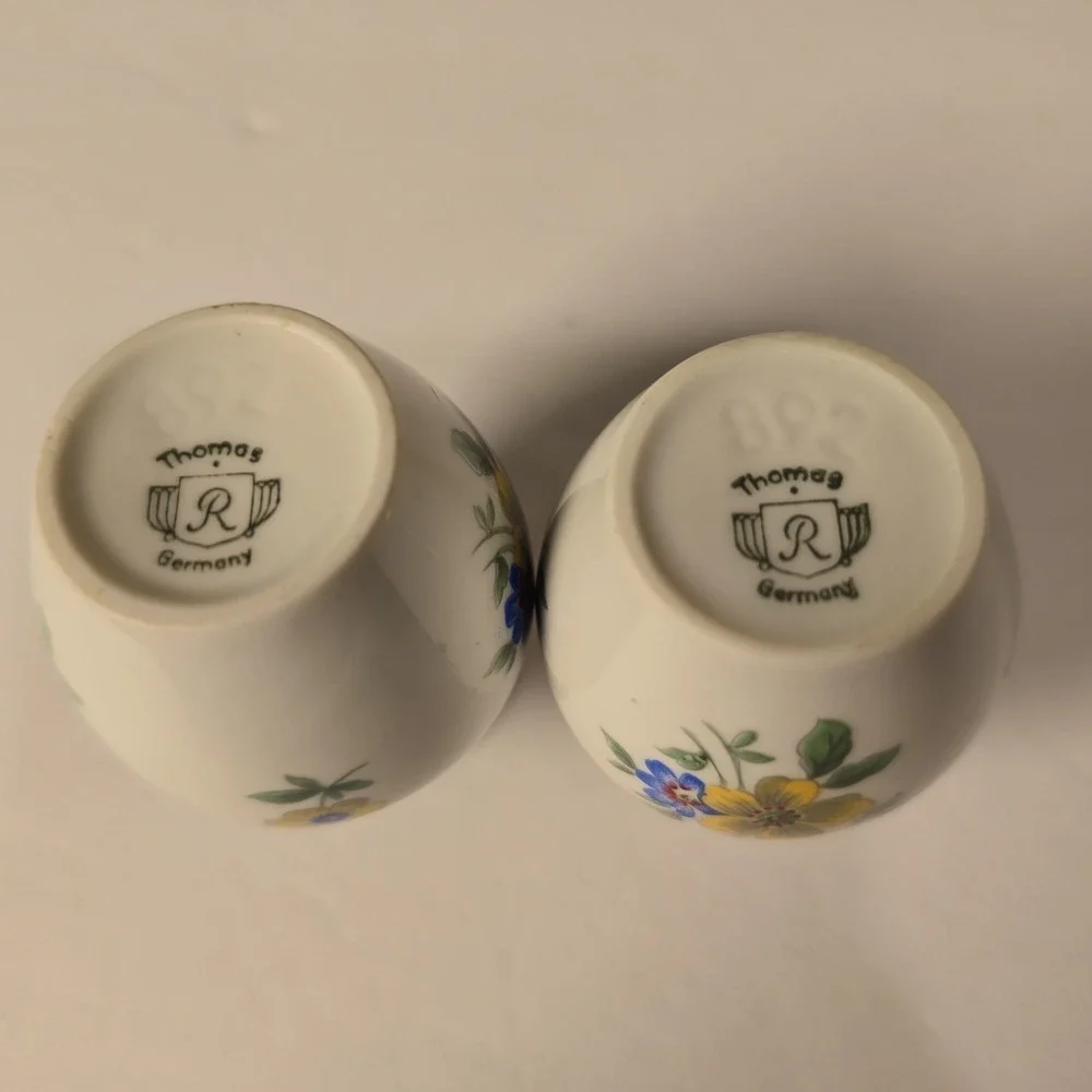 Vintage Thomas Germany Porcelain Salt Pepper Shakers 835 Silver Tops Floral